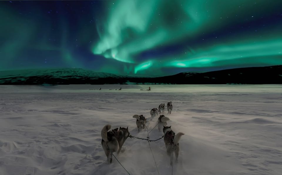 husky ride under the northern lights in lapland 