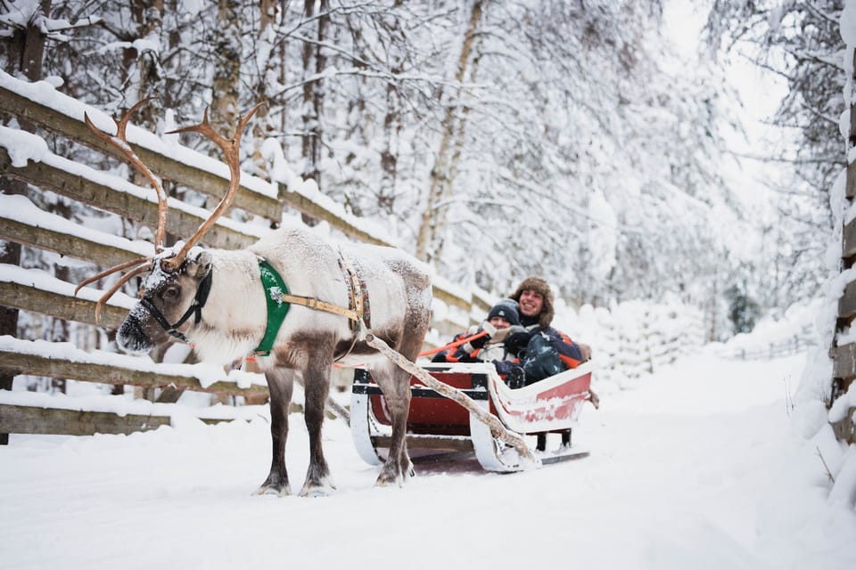 reindeersledding in Rovaniemi Lapland 